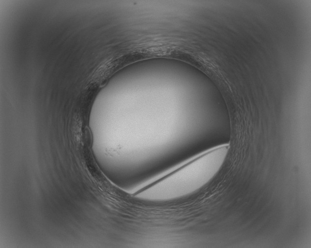 X0000054370693200507290831