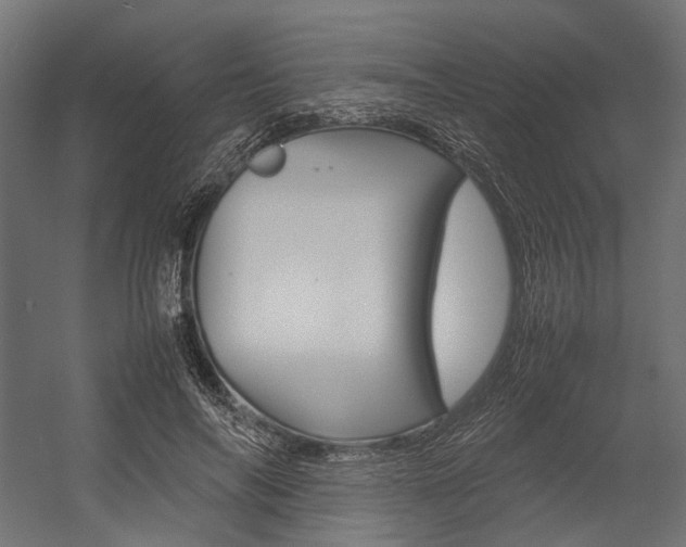 X0000054370694200507290831