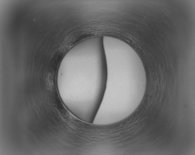 X0000054370695200507290831