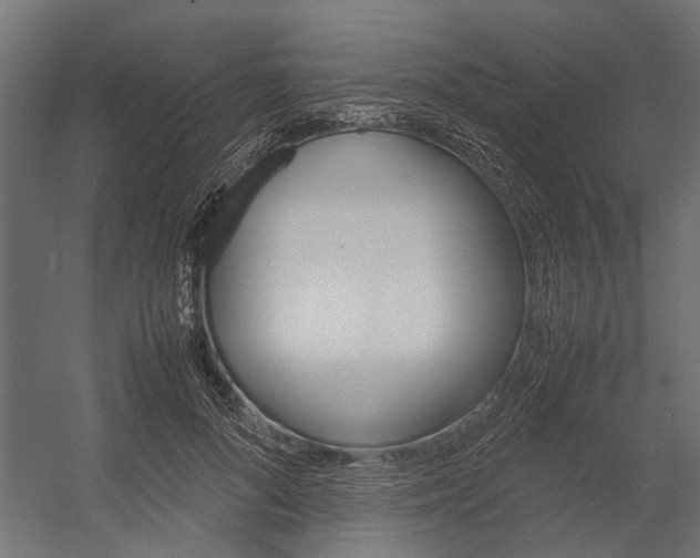 X0000054370696200507290831