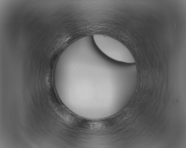 X0000054370698200507290831