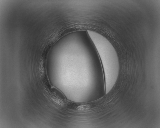 X0000054370700200507290831