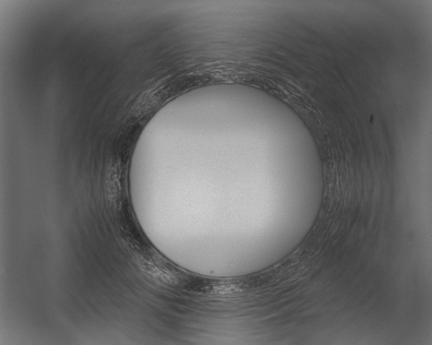 X0000054370702200507290831