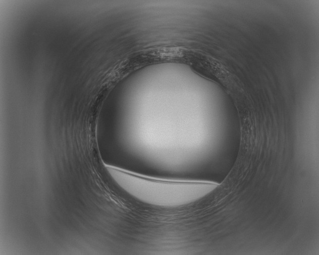 X0000054370704200507290831