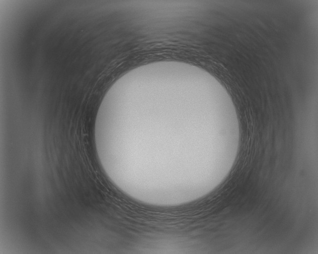 X0000054370705200507290831