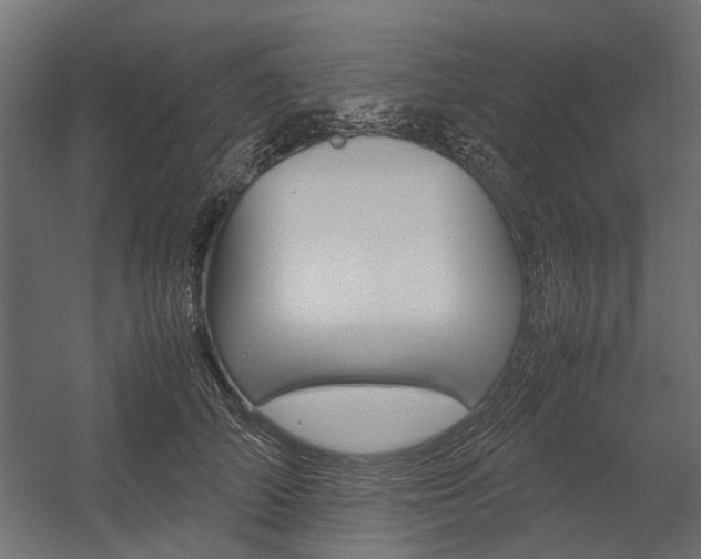 X0000054370706200507290831