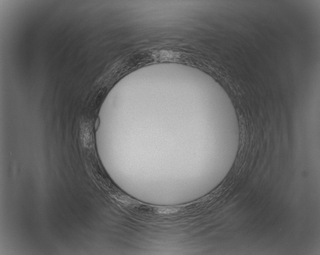 X0000054370709200507290831