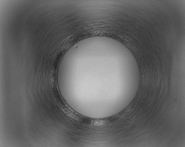 X0000054370710200507290831