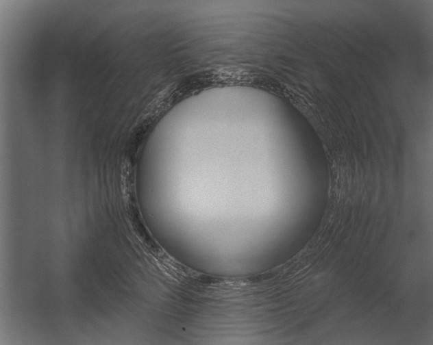 X0000054370712200507290831