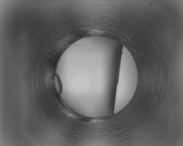 X0000054370714200507290831