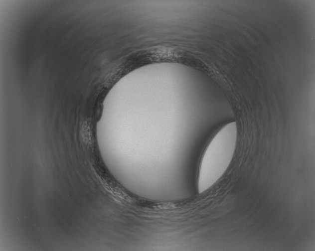 X0000054370715200507290831