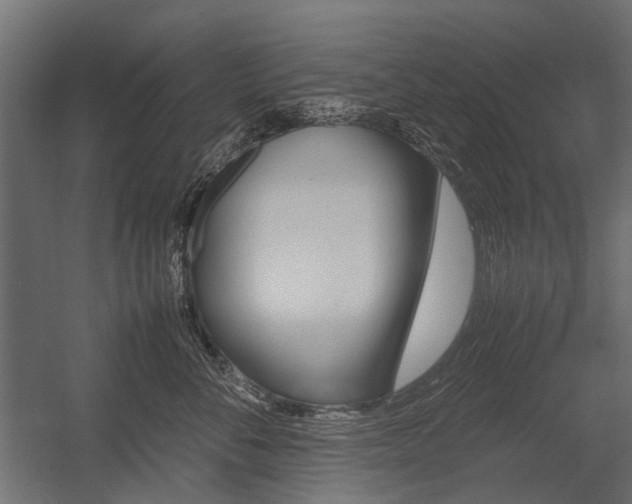 X0000054370716200507290831