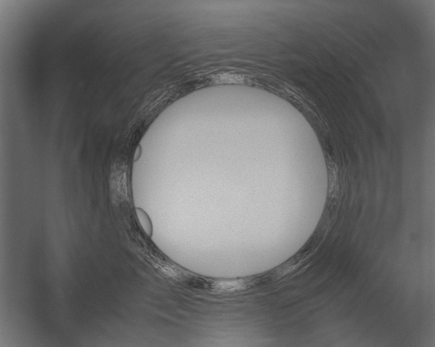 X0000054370717200507290831