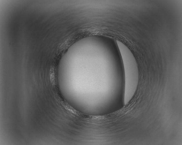 X0000054370720200507290831
