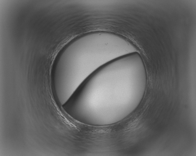 X0000054370721200507290830