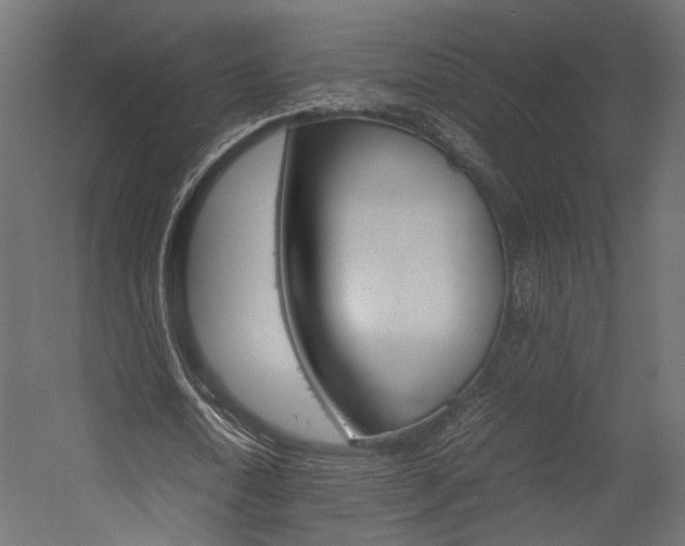 X0000054370722200507290830