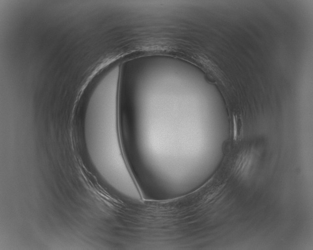 X0000054370723200507290830