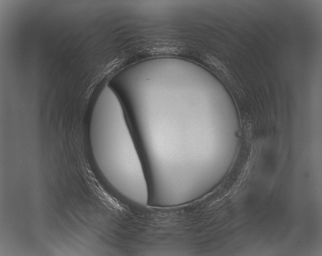 X0000054370729200507290830
