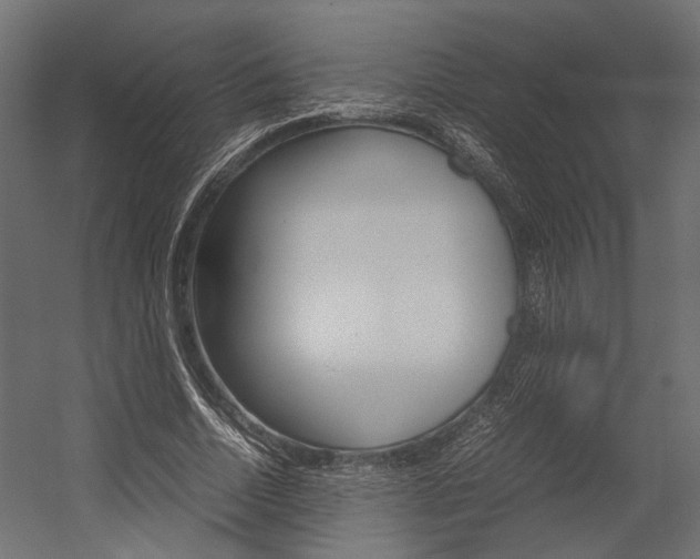 X0000054370730200507290830