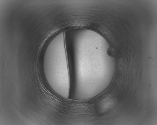 X0000054370731200507290830