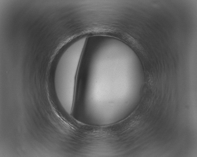 X0000054370732200507290830