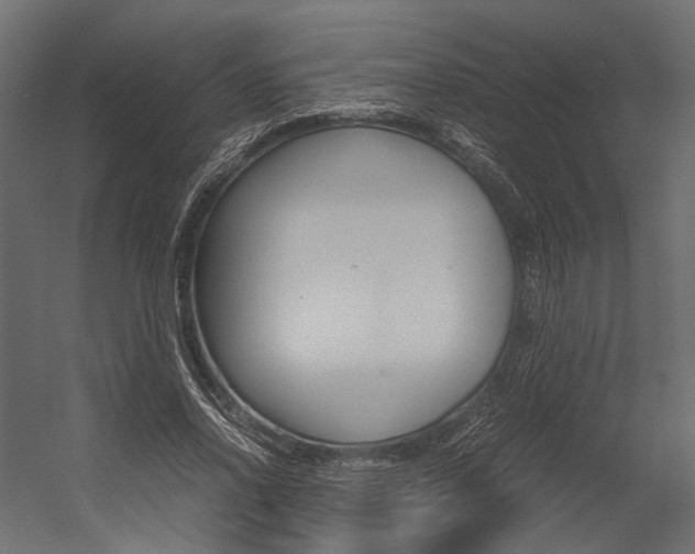 X0000054370734200507290830