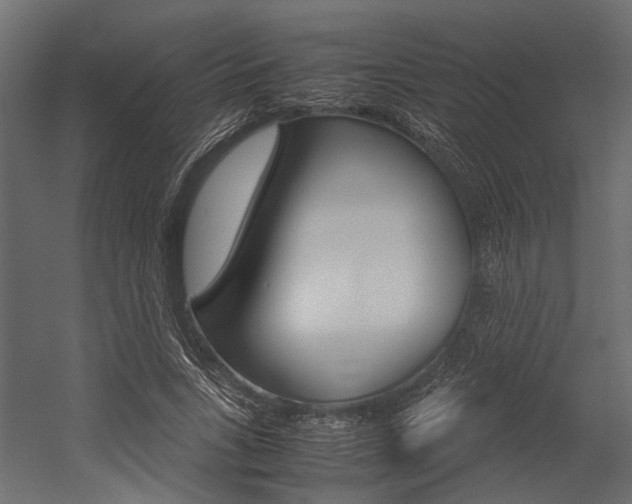 X0000054370735200507290830