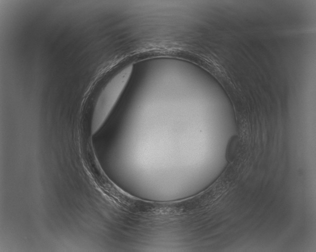 X0000054370736200507290830