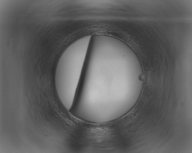 X0000054370737200507290830