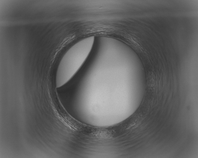 X0000054370738200507290830