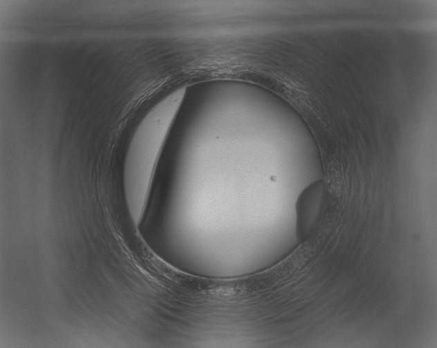 X0000054370740200507290830