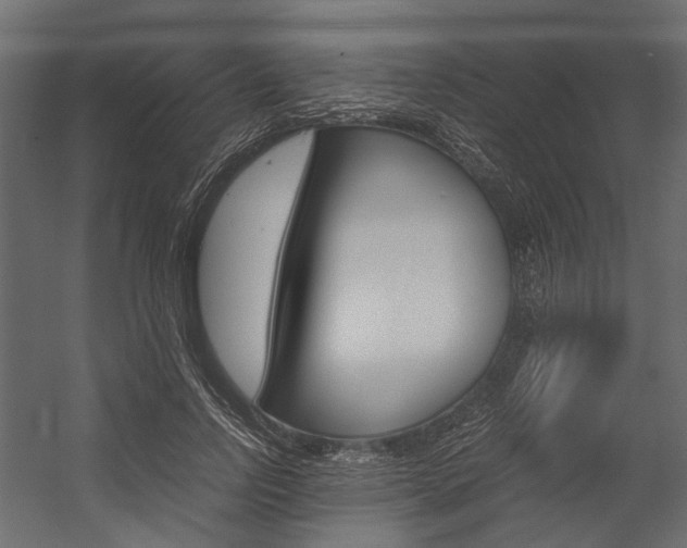 X0000054370742200507290830