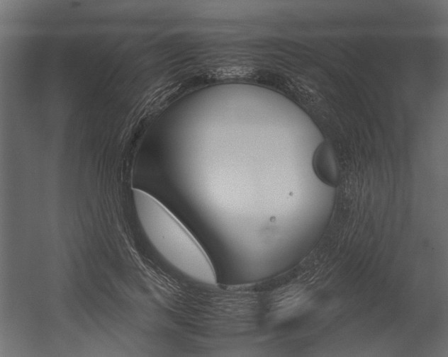 X0000054370743200507290830