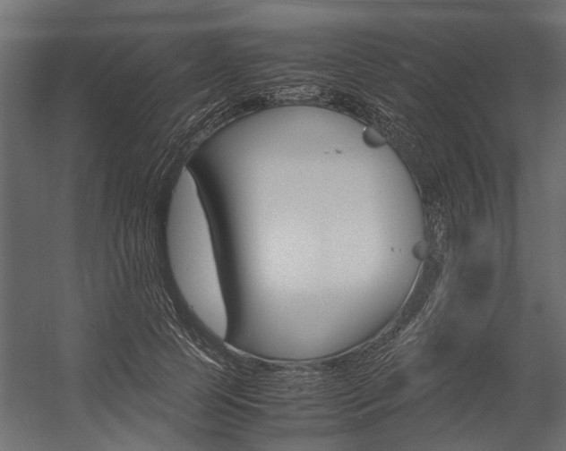 X0000054370745200507290830