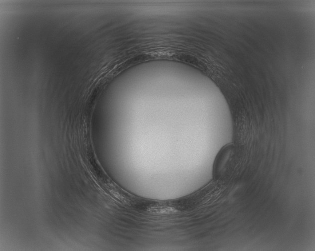 X0000054370747200507290830