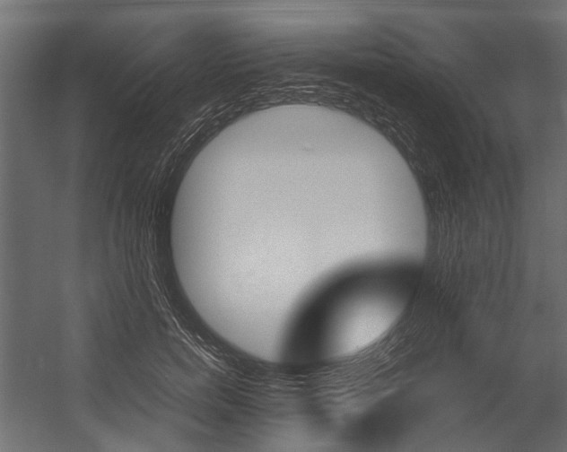 X0000054370750200507290830