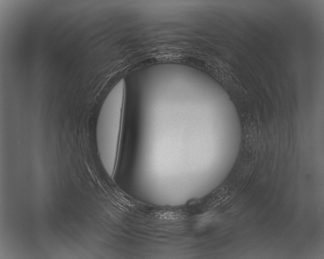 X0000054370755200507290830