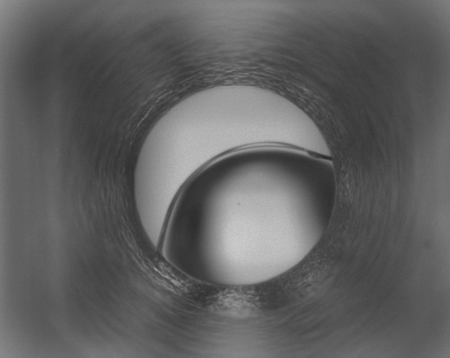 X0000054370756200507290830