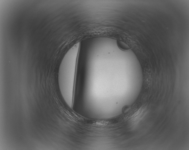 X0000054370758200507290830