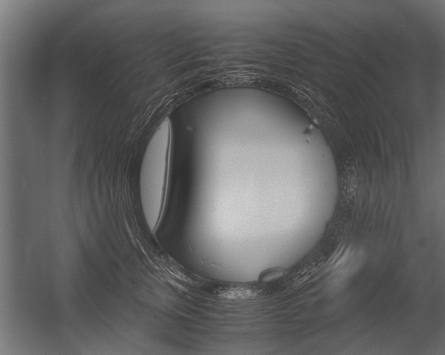 X0000054370759200507290831
