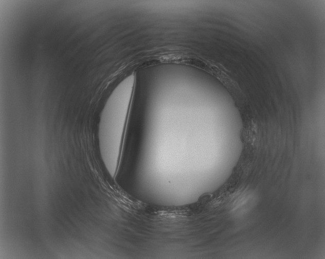 X0000054370763200507290831