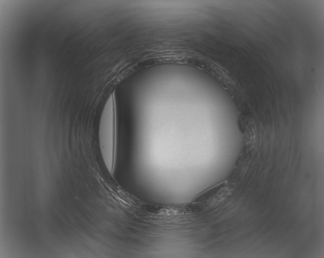 X0000054370764200507290831