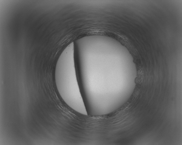 X0000054370765200507290831