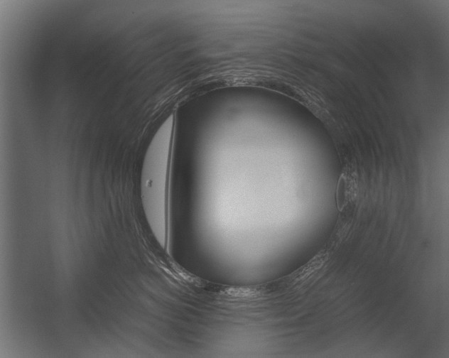 X0000054370766200507290831