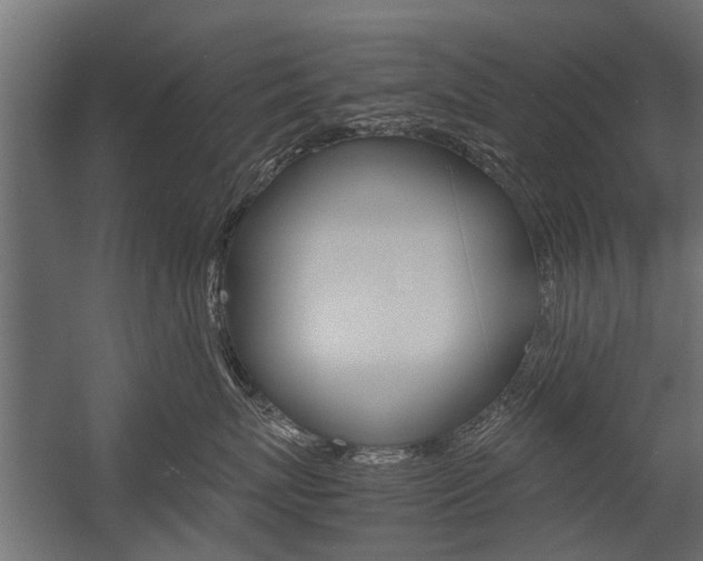 X0000054370767200507290831