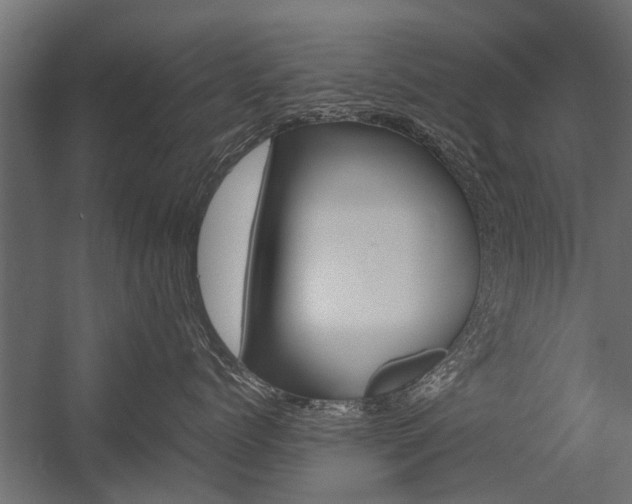 X0000054370768200507290831