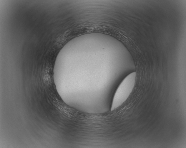 X0000054370770200507290830