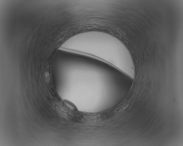 X0000054370771200507290830