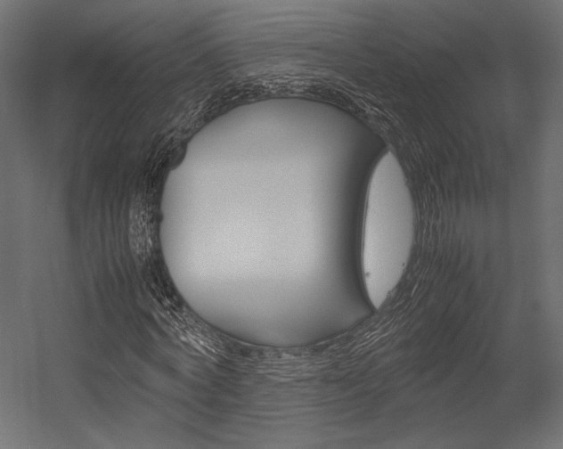 X0000054370772200507290830