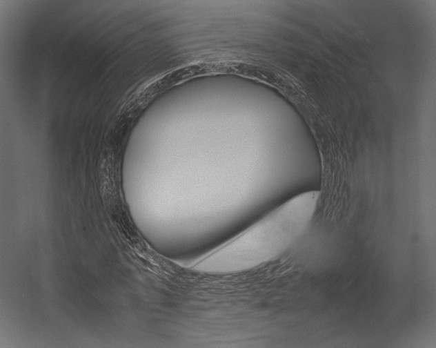 X0000054370773200507290830